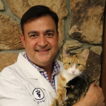 Dr. Pablo Ruiz, DVM Dr. Pablo Ruiz, DVM