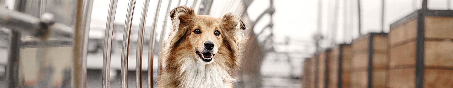 About us Image About us Image