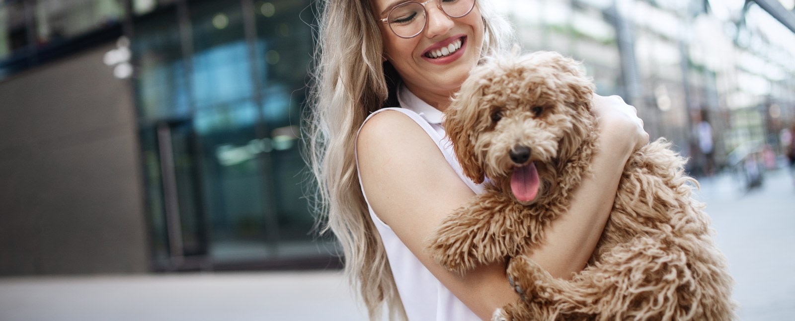 Phoenix Veterinary Referral & Emergency Center Hero Image Phoenix Veterinary Referral & Emergency Center Hero Image