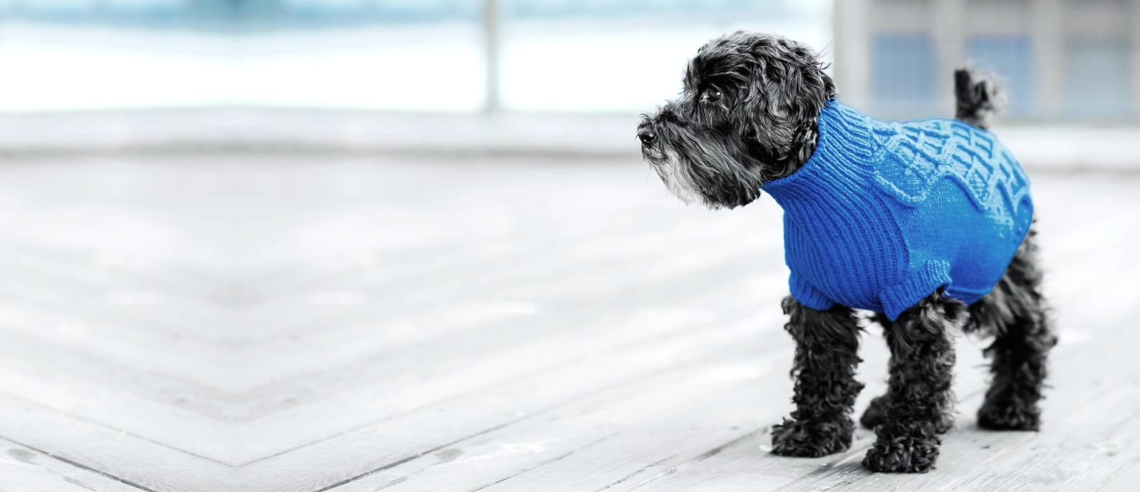 Putnam North Animal Hospital Hero Image Putnam North Animal Hospital Hero Image